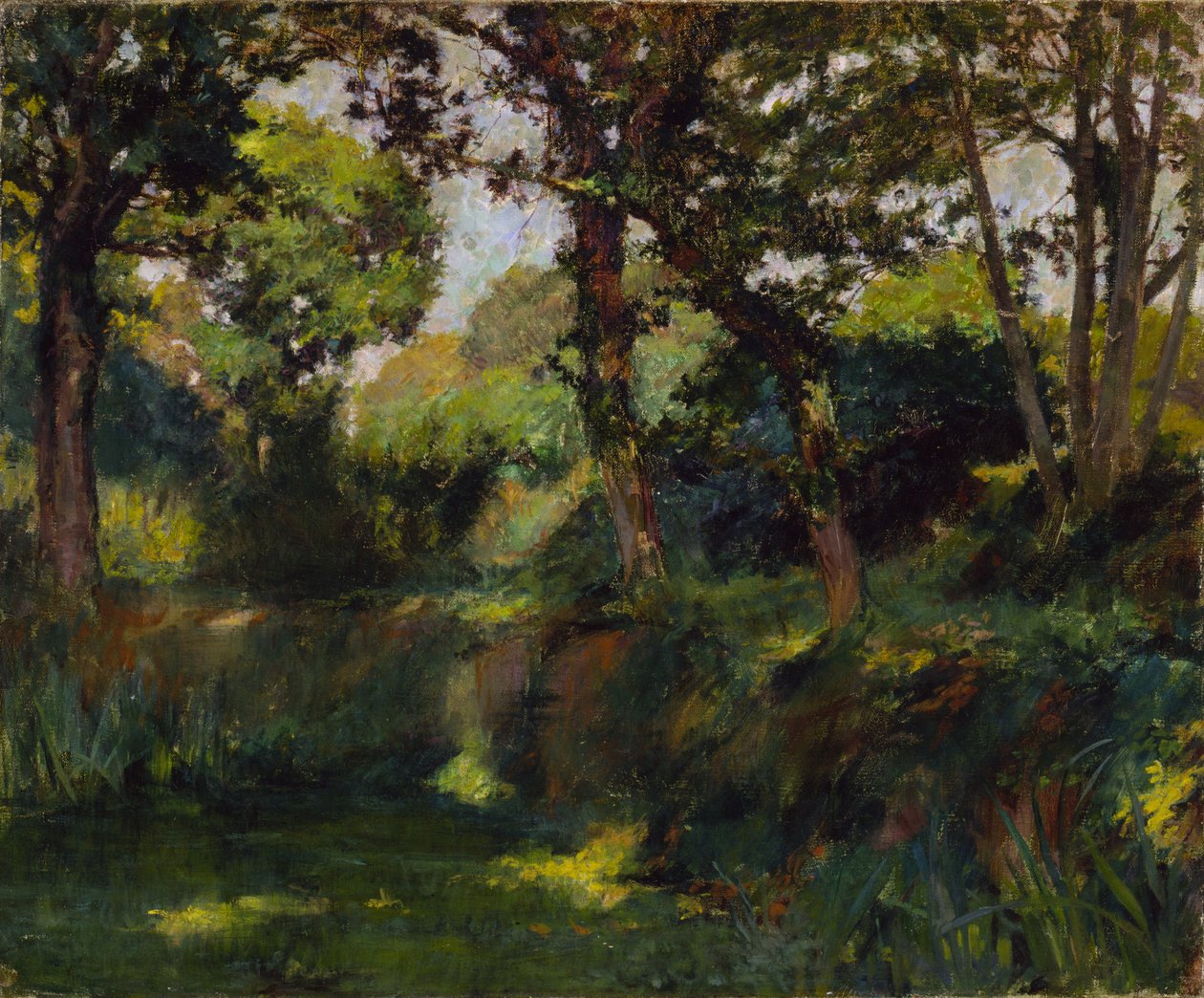 Paesaggio boschivo da Samuel Isham