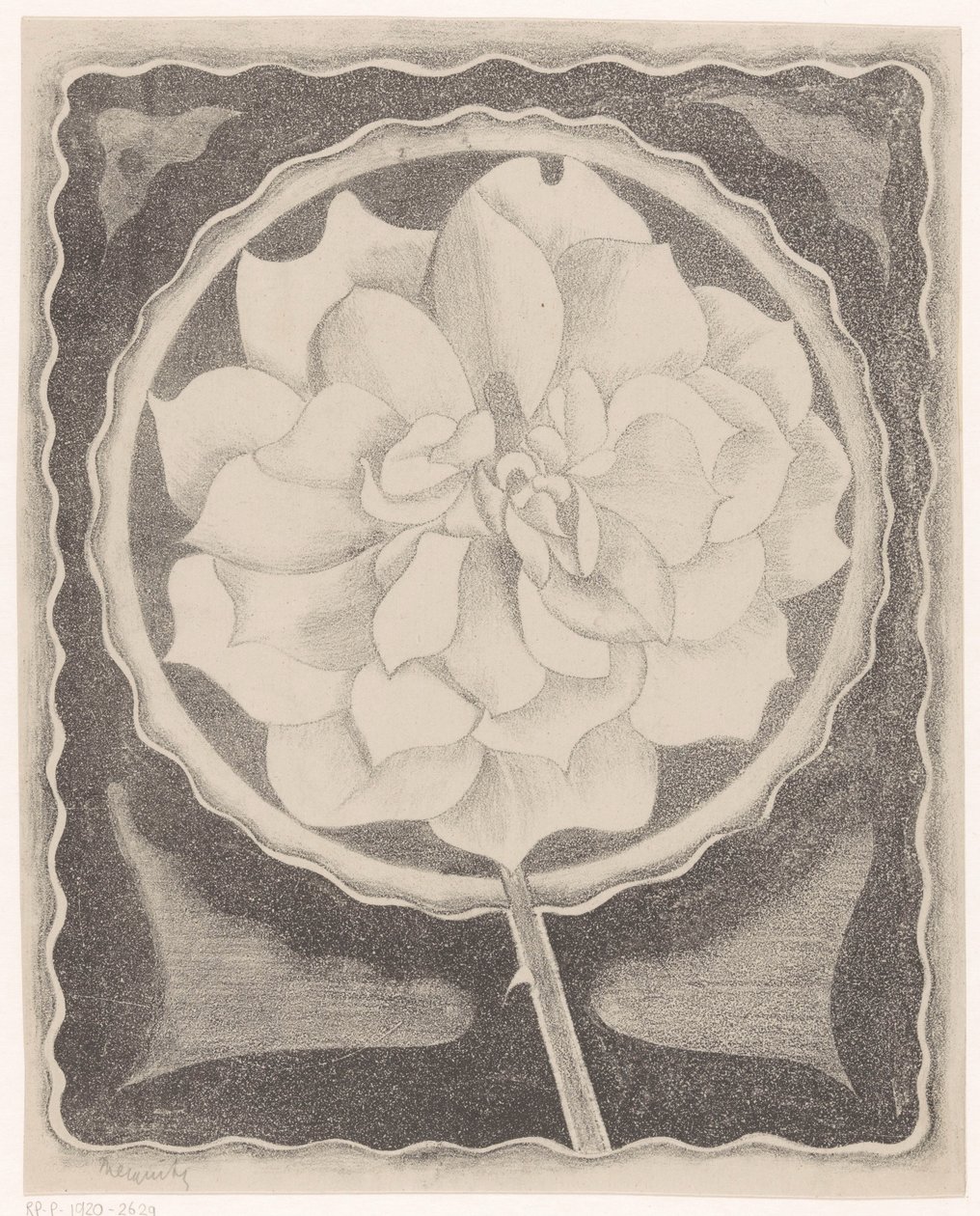 Rosa da Samuel Jessurun de Mesquita (signed by artist)