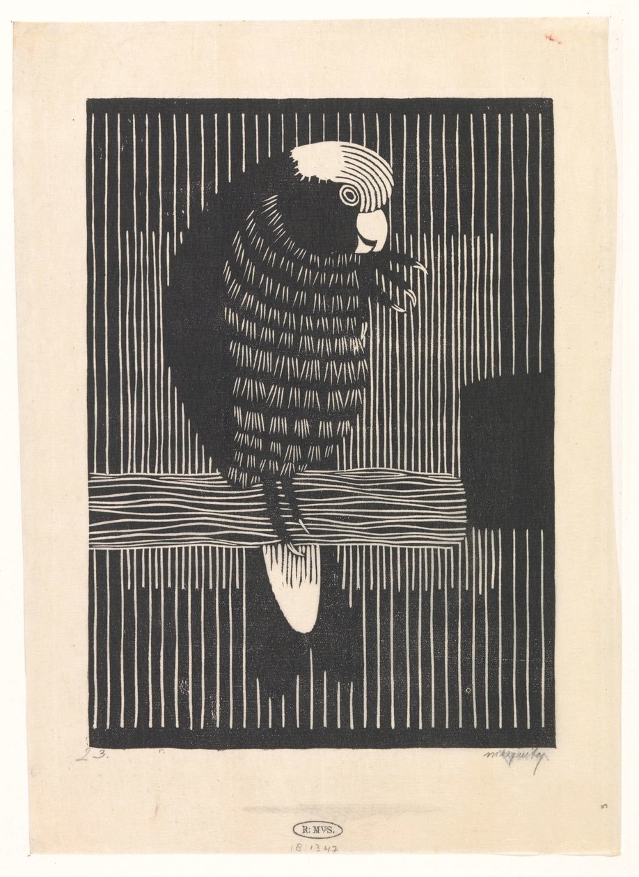 Cacatua rosato da Samuel Jessurun de Mesquita (signed by artist)