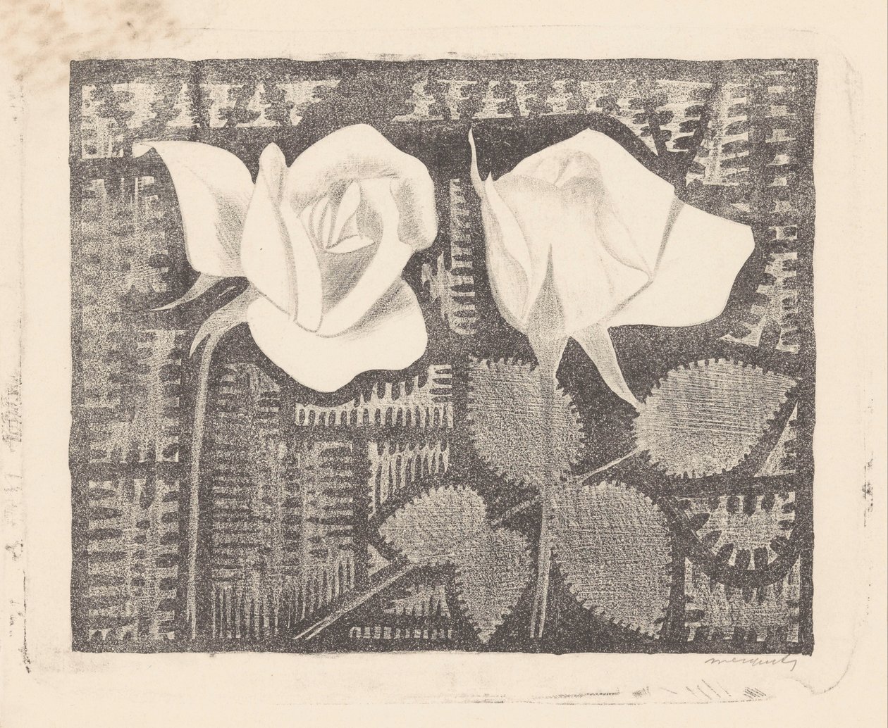 Due rose da Samuel Jessurun de Mesquita (signed by artist)