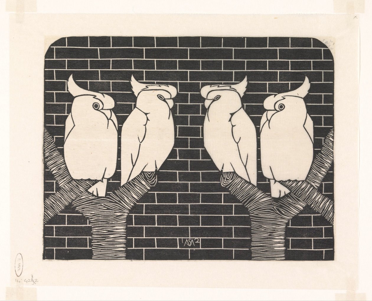 Quattro cacatua coronati da Samuel Jessurun de Mesquita (signed by artist)