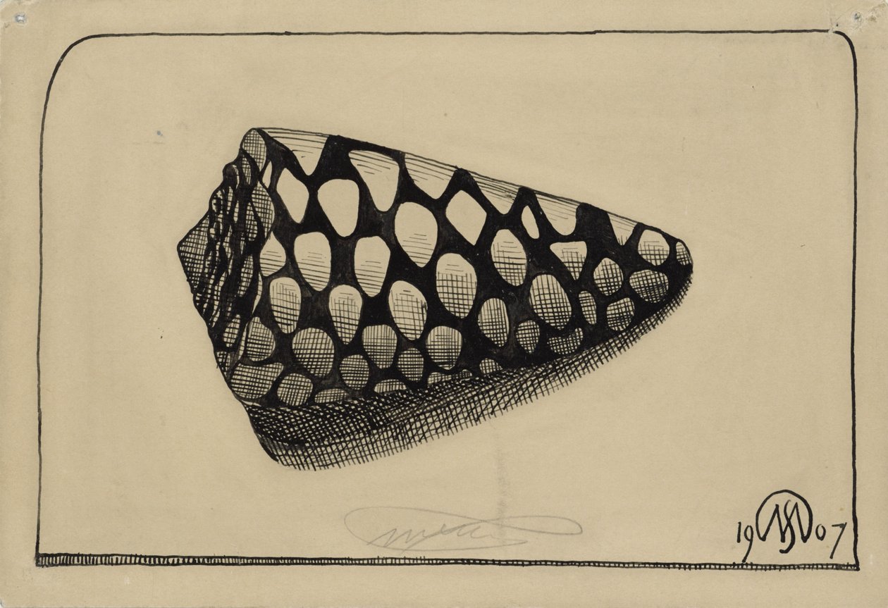 Conchiglia, verso destra da Samuel Jessurun de Mesquita