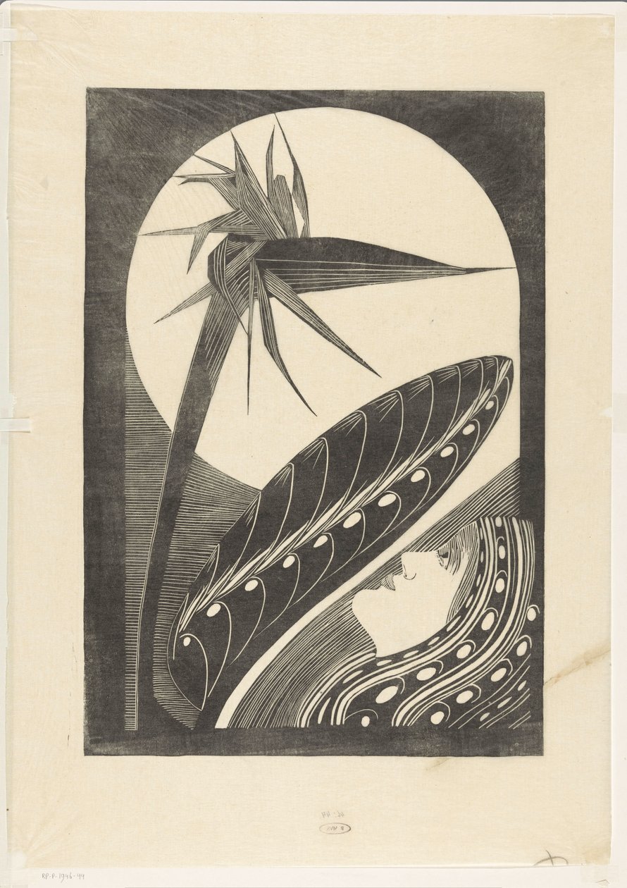 Strelitzia appassita da Samuel Jessurun de Mesquita