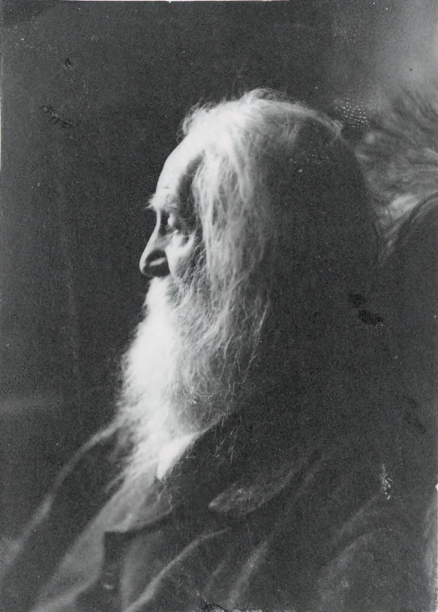 Walt Whitman a Camden, N.J. da Samuel Murray