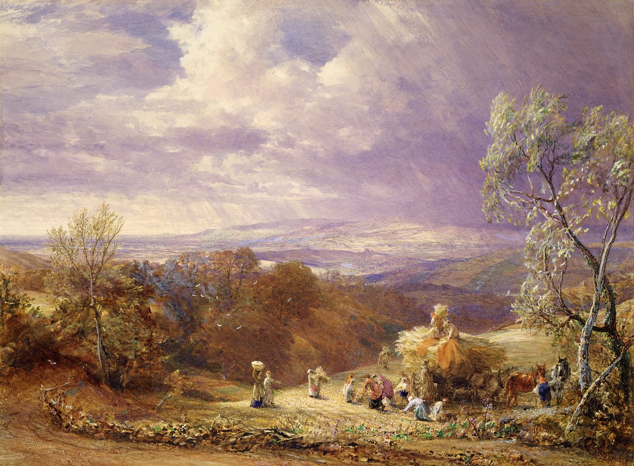 Raccolta da Samuel Palmer