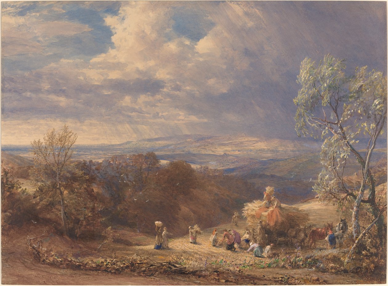 Raccolta da Samuel Palmer