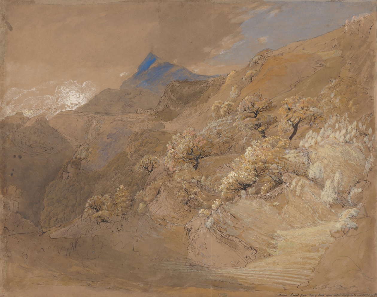 Monte Siabod da Tyn-y-Coed vicino a Capel Curig da Samuel Palmer