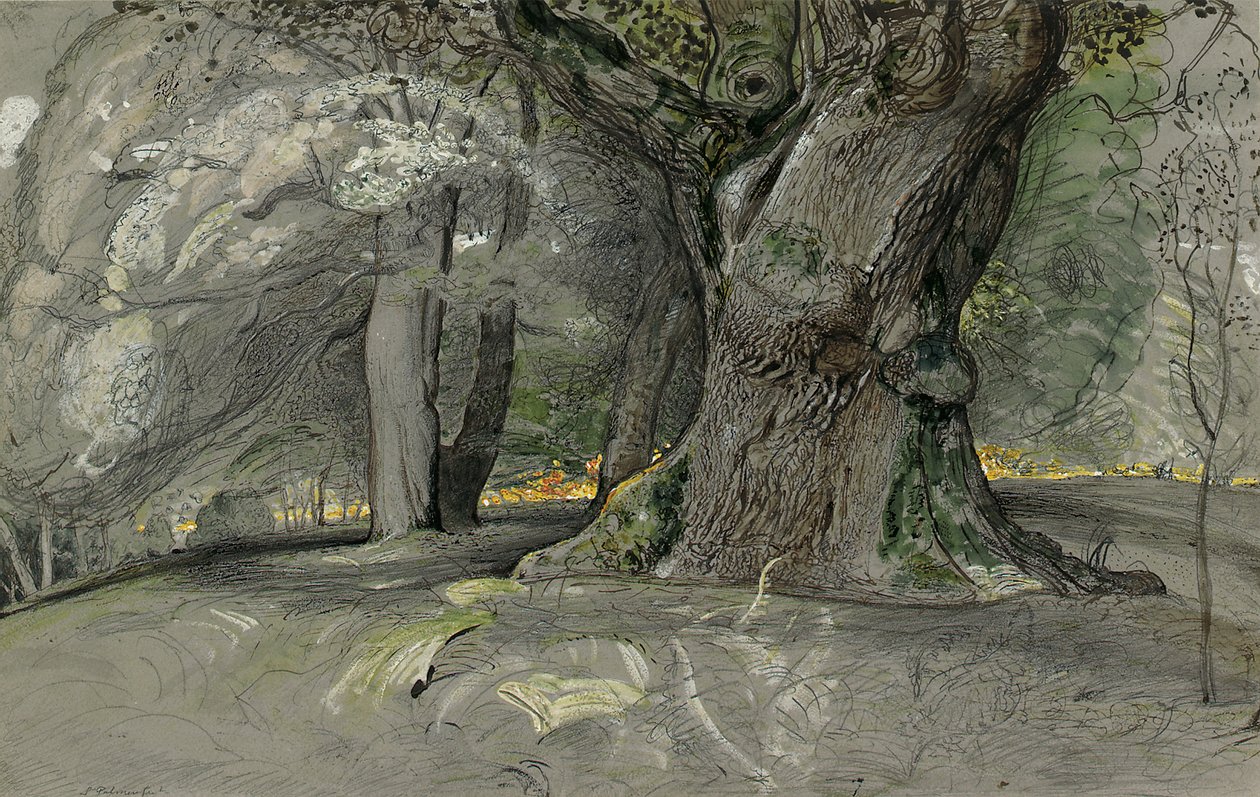 Quercia e faggio, Parco di Lullingstone da Samuel Palmer