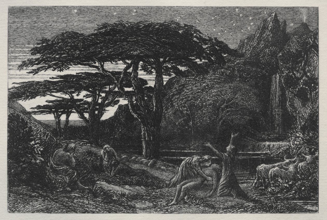 Il boschetto di cipressi da Samuel Palmer