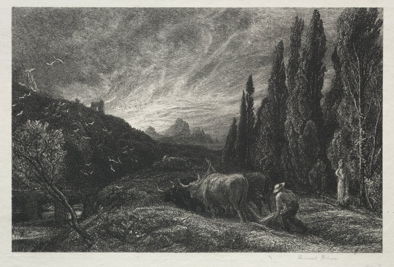 Il contadino mattiniero da Samuel Palmer