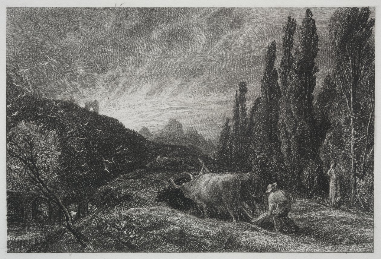 Il contadino mattiniero da Samuel Palmer