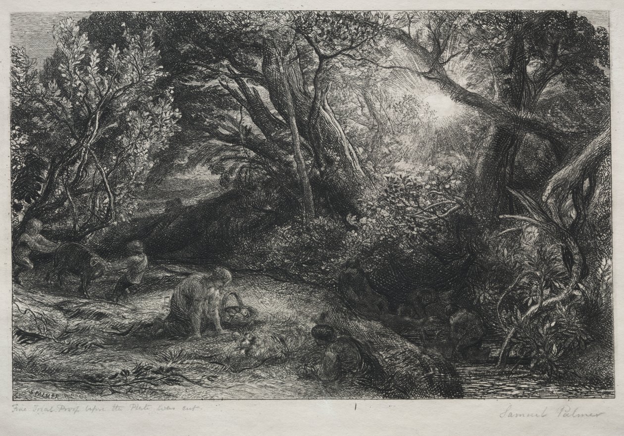 Il mattino della vita da Samuel Palmer