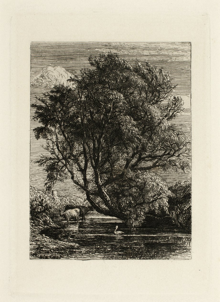 Il salice da Samuel Palmer