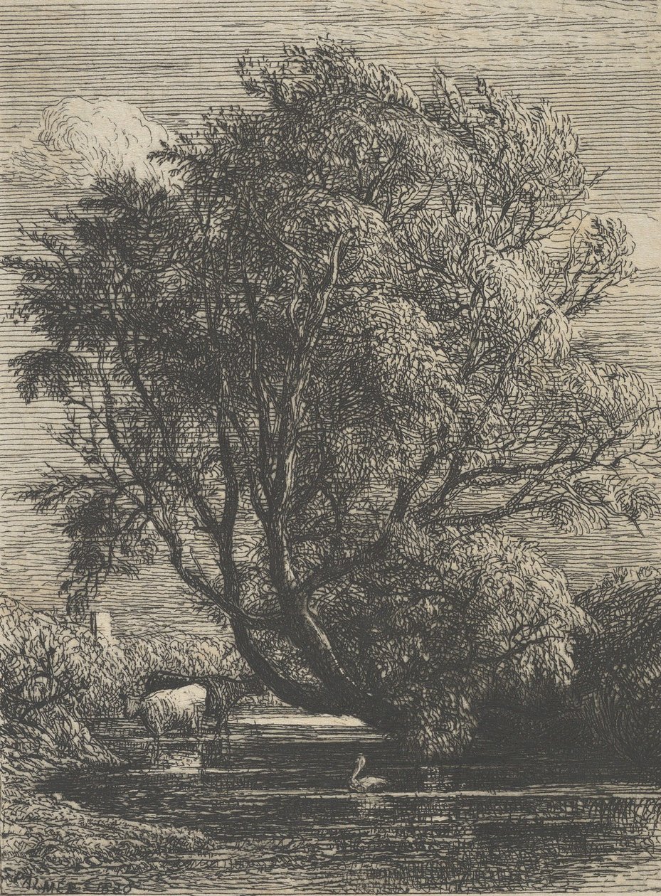 Il salice, 1850 da Samuel Palmer