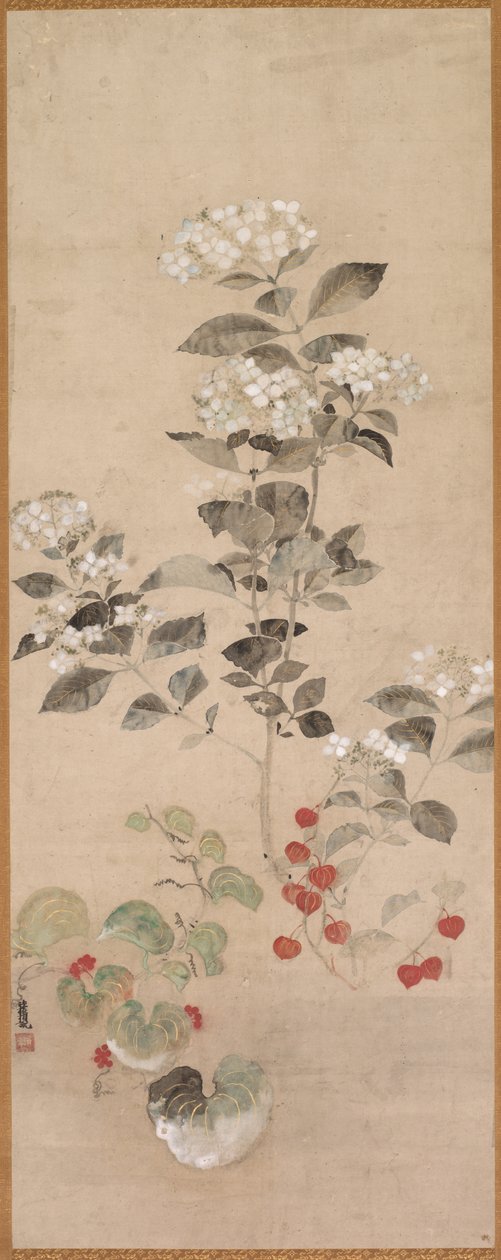 Fiori estivi da Samuel Prout