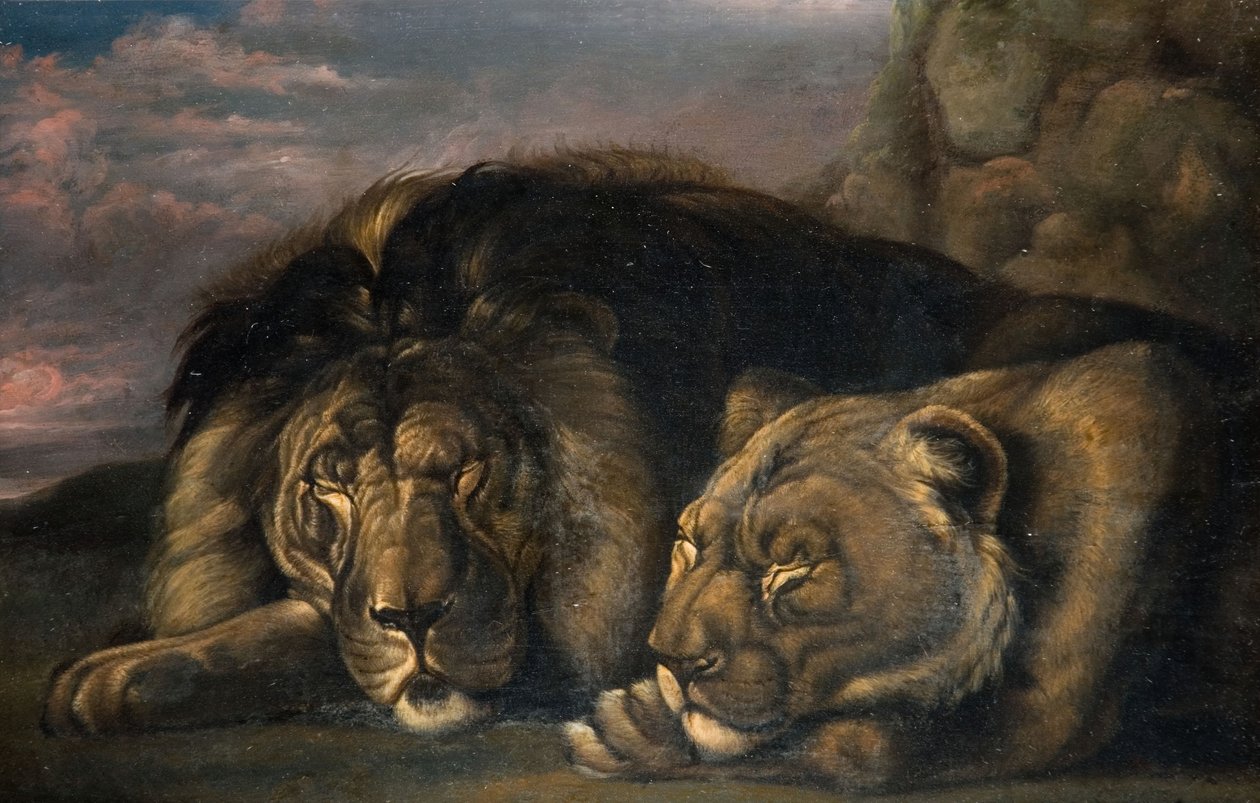 Leone e leonessa dormienti, 1823-1830 da Samuel Raven