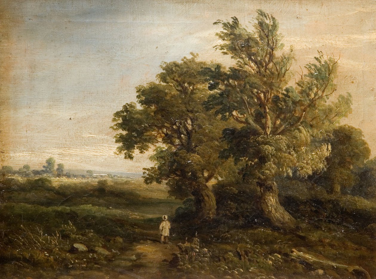 Paesaggio con alberi, 1863 da Samuel Restell Lines