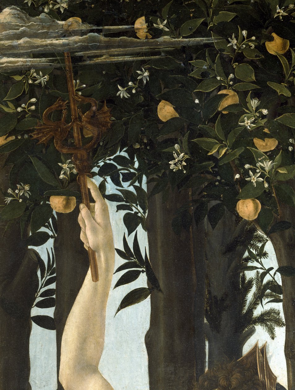 Primavera, c.1478 (dettaglio) da Sandro Botticelli