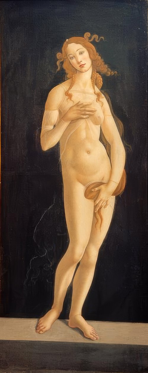 Venere da Sandro Botticelli