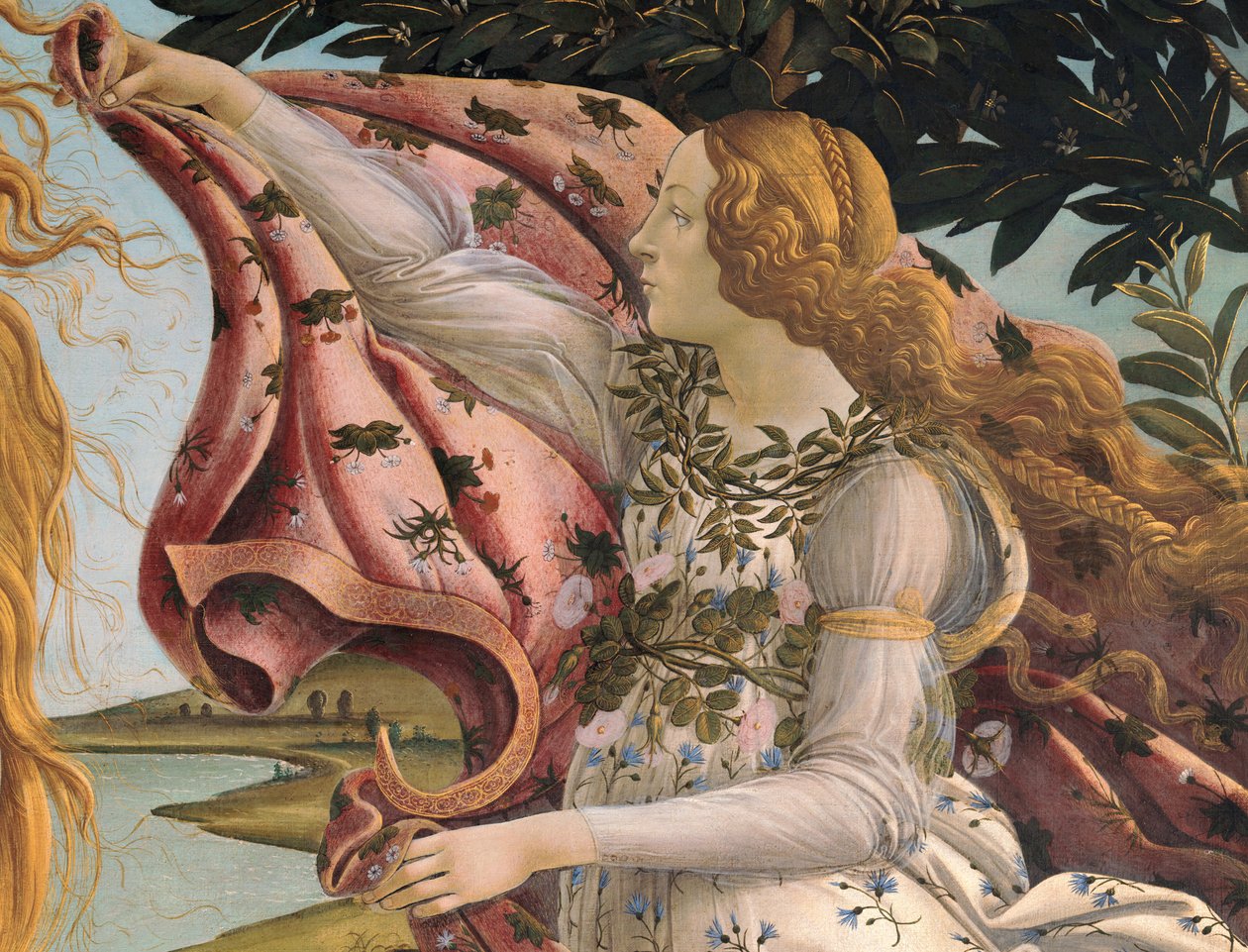 Nascita di Venere da Sandro Botticelli