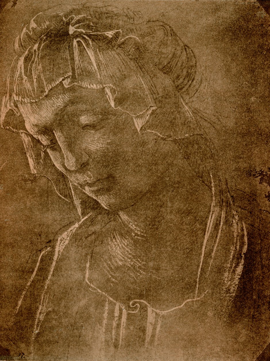 Testa femminile da Sandro Botticelli