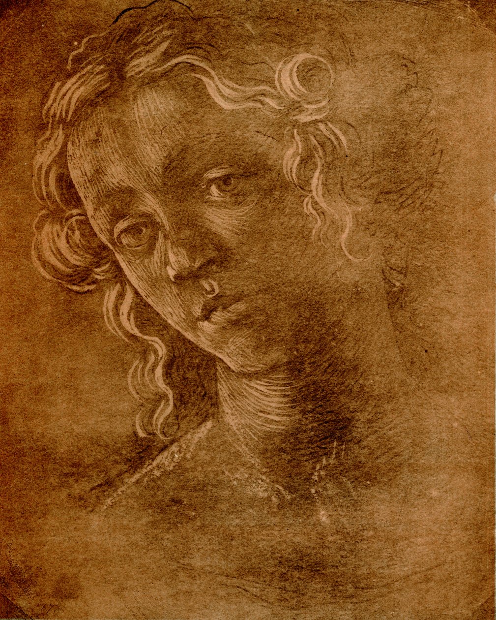Testa femminile da Sandro Botticelli