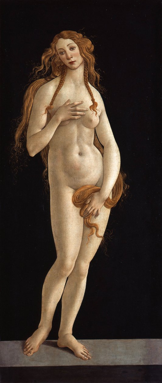 Tedesco: Venus Venus da Sandro Botticelli