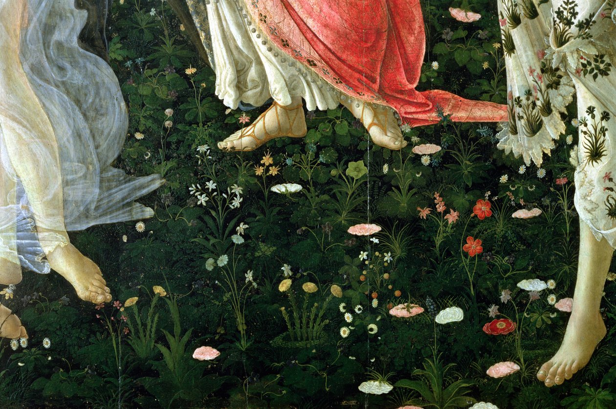Primavera (dettaglio dei fiori) da Sandro Botticelli