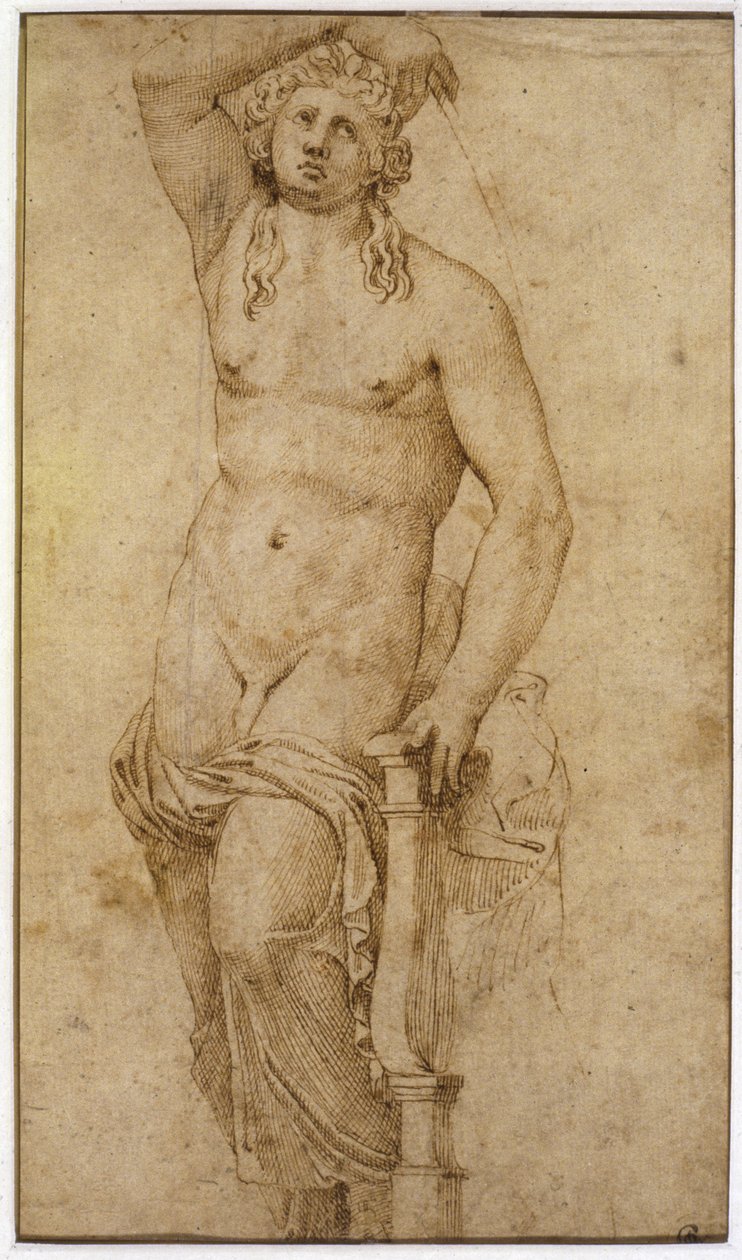 Apollo da Raffaello Sanzio Raphael