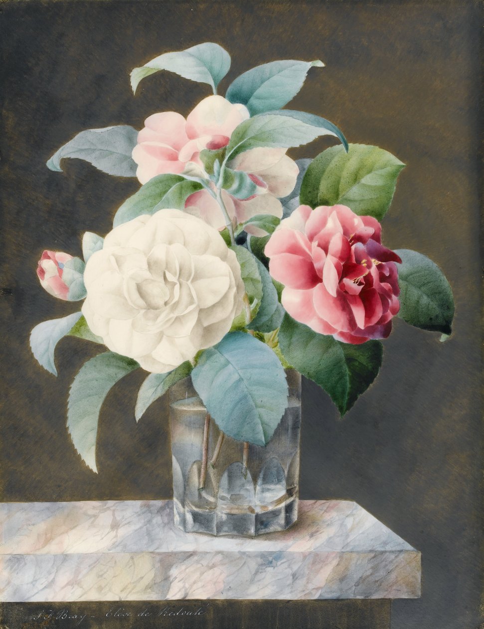 Un Vaso di Vetro Tagliato Contenente Camelie Bianche, Rosa e Rosse su una Lastra di Marmo Variegato da Sarah Bray