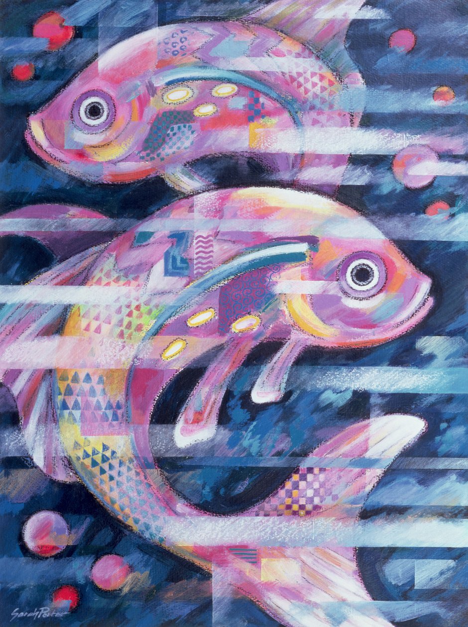 Fishstream da Sarah Porter