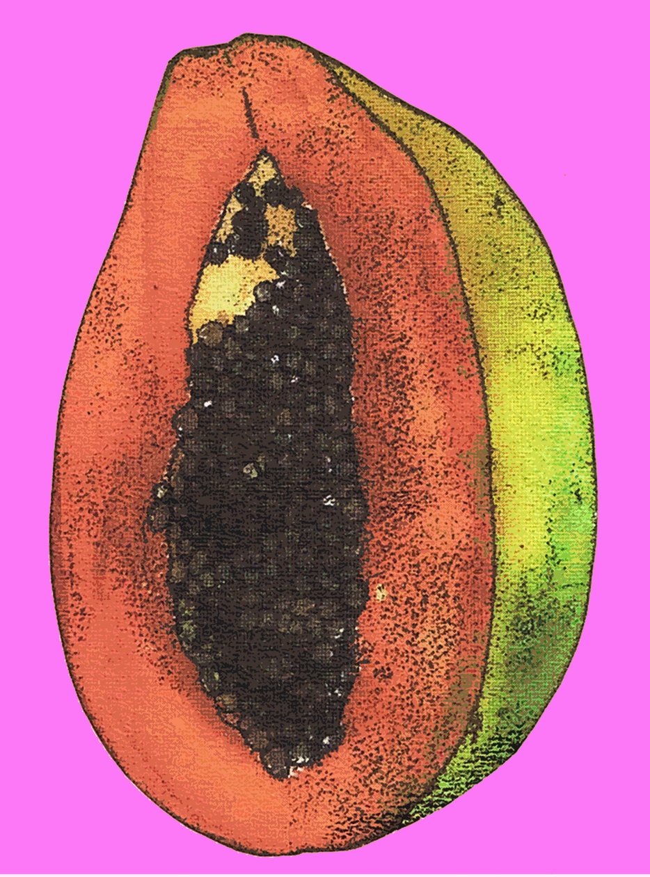 Papaya, 2009 da Sarah Thompson Engels