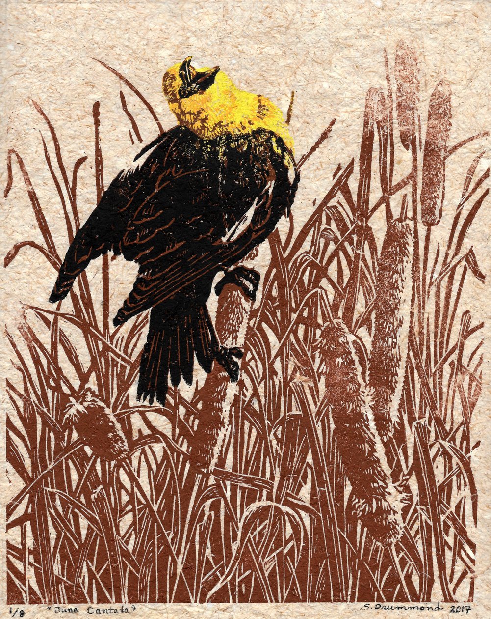 Cattail Cantata, 2017 (Linocut) da Sarah Drummond