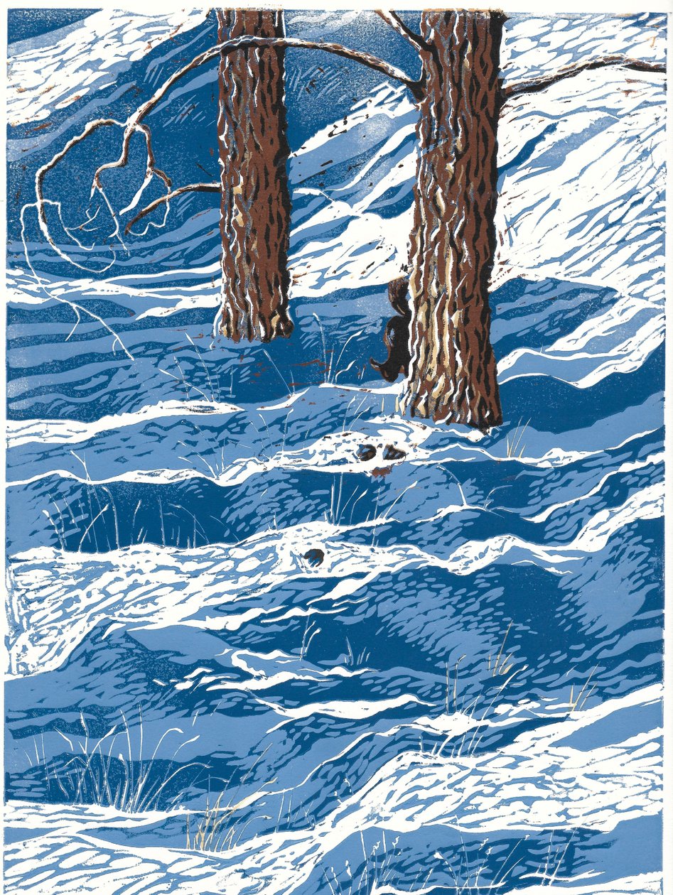 Nevicata di primavera, 2016 (Linocut) da Sarah Drummond