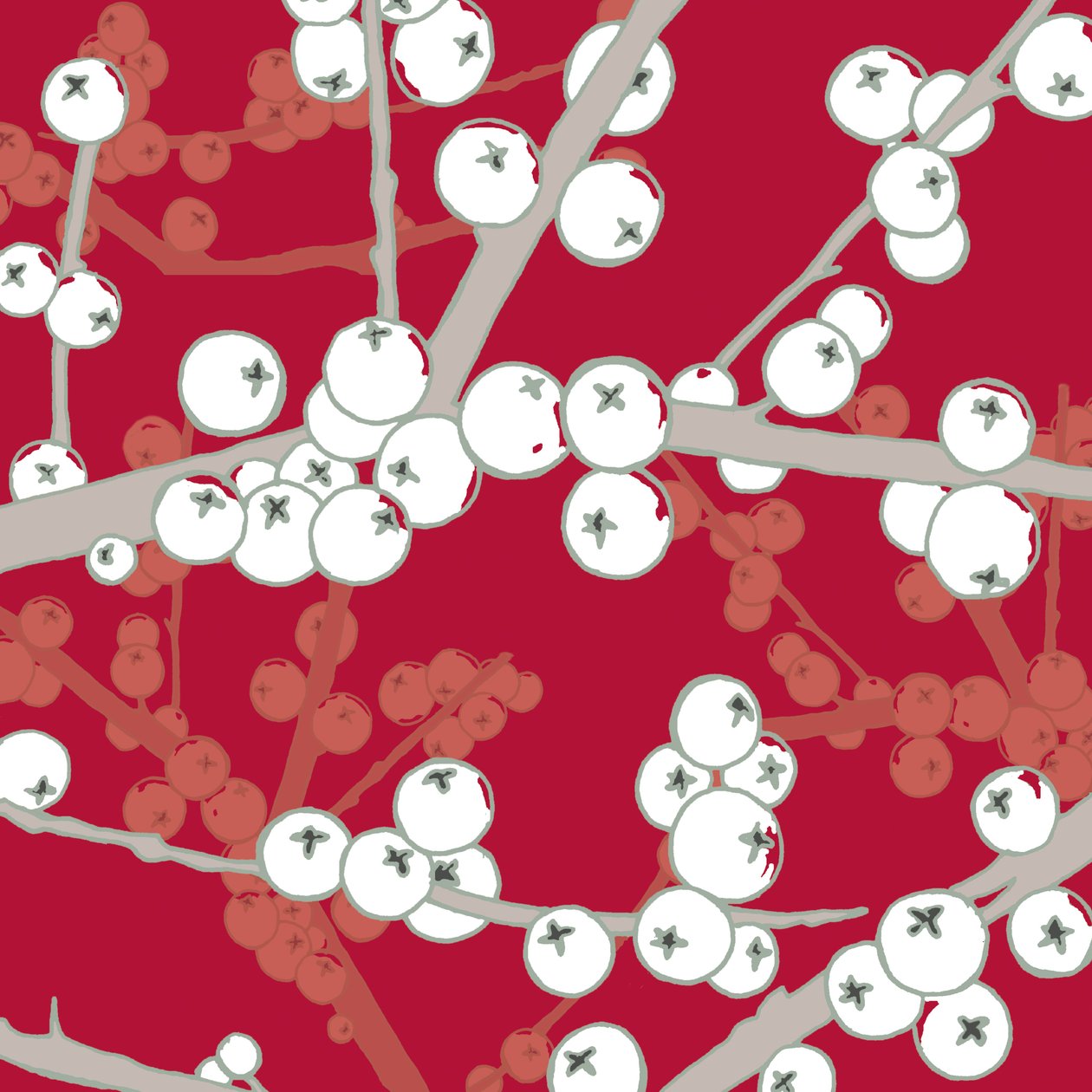 Berry Bright, 2005 da Sarah Hough