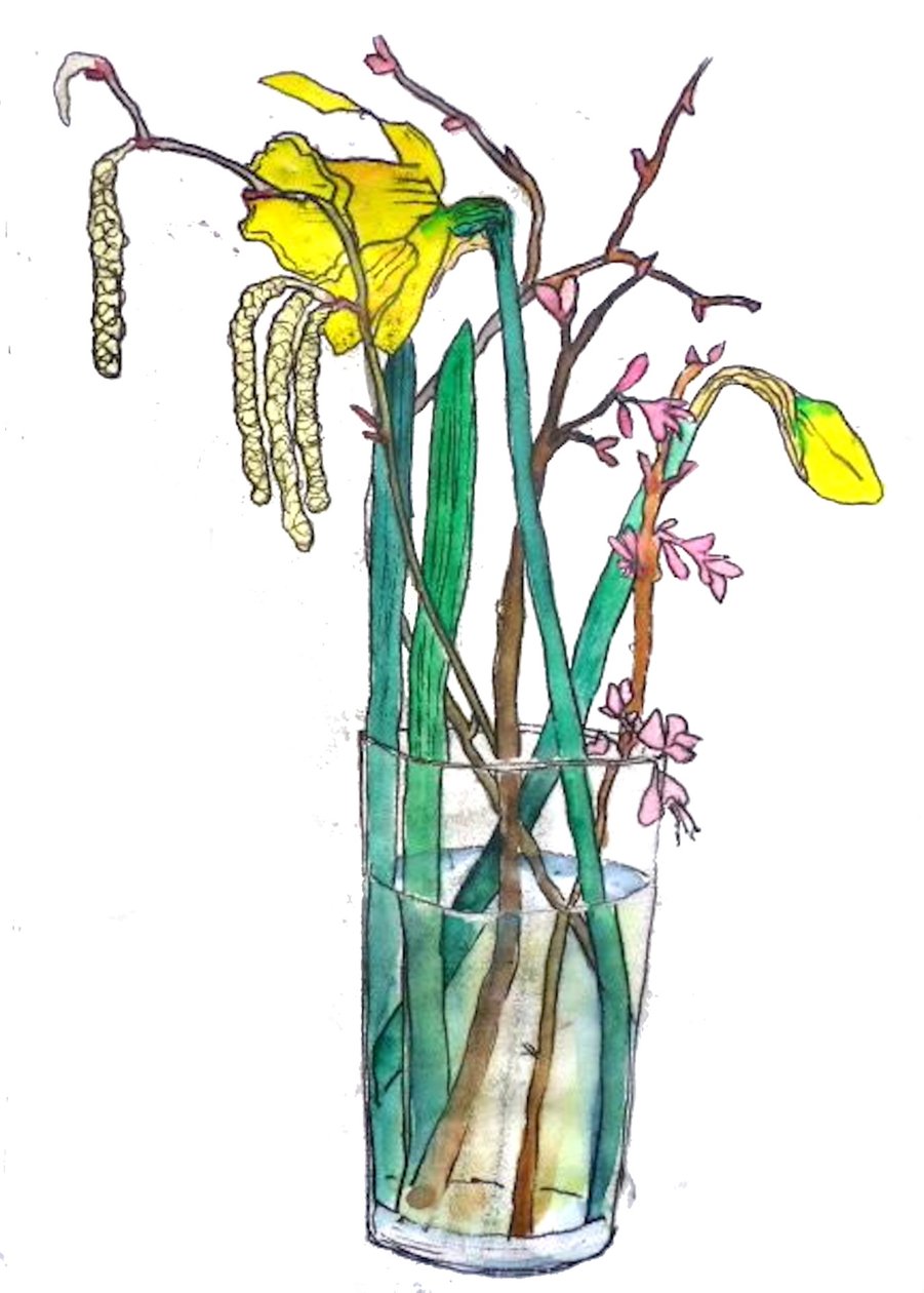 Narcisi da Sarah Thompson Engels