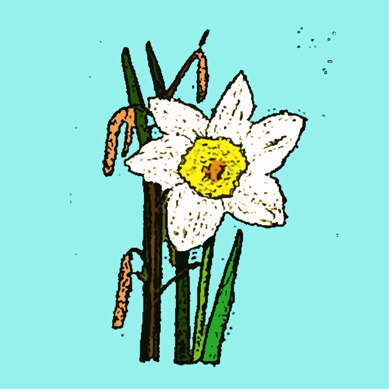 Narcisi, 2015 da Sarah Thompson Engels