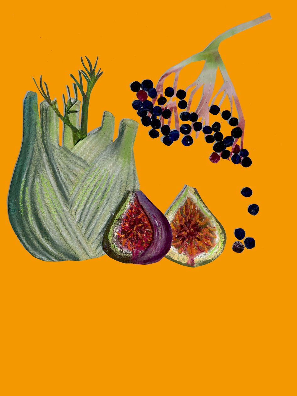 Frutta e Verdura, 2020 da Sarah Thompson Engels