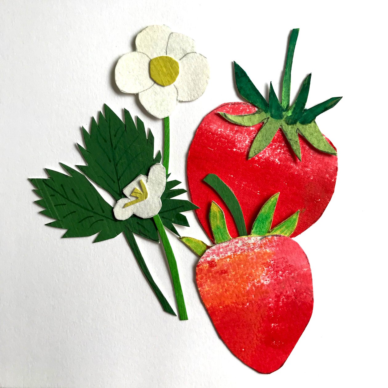 Fragole da Sarah Thompson Engels