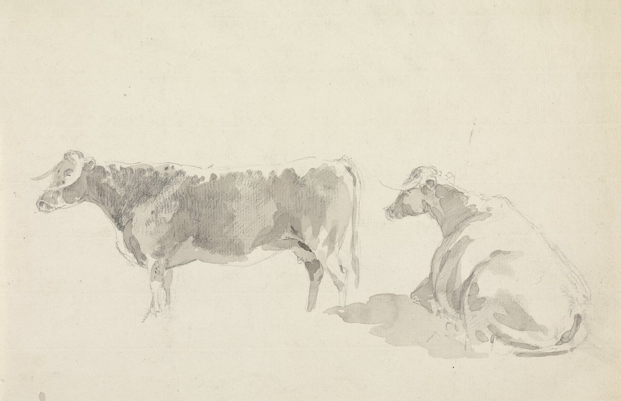 Studi di bovini da Sawrey Gilpin
