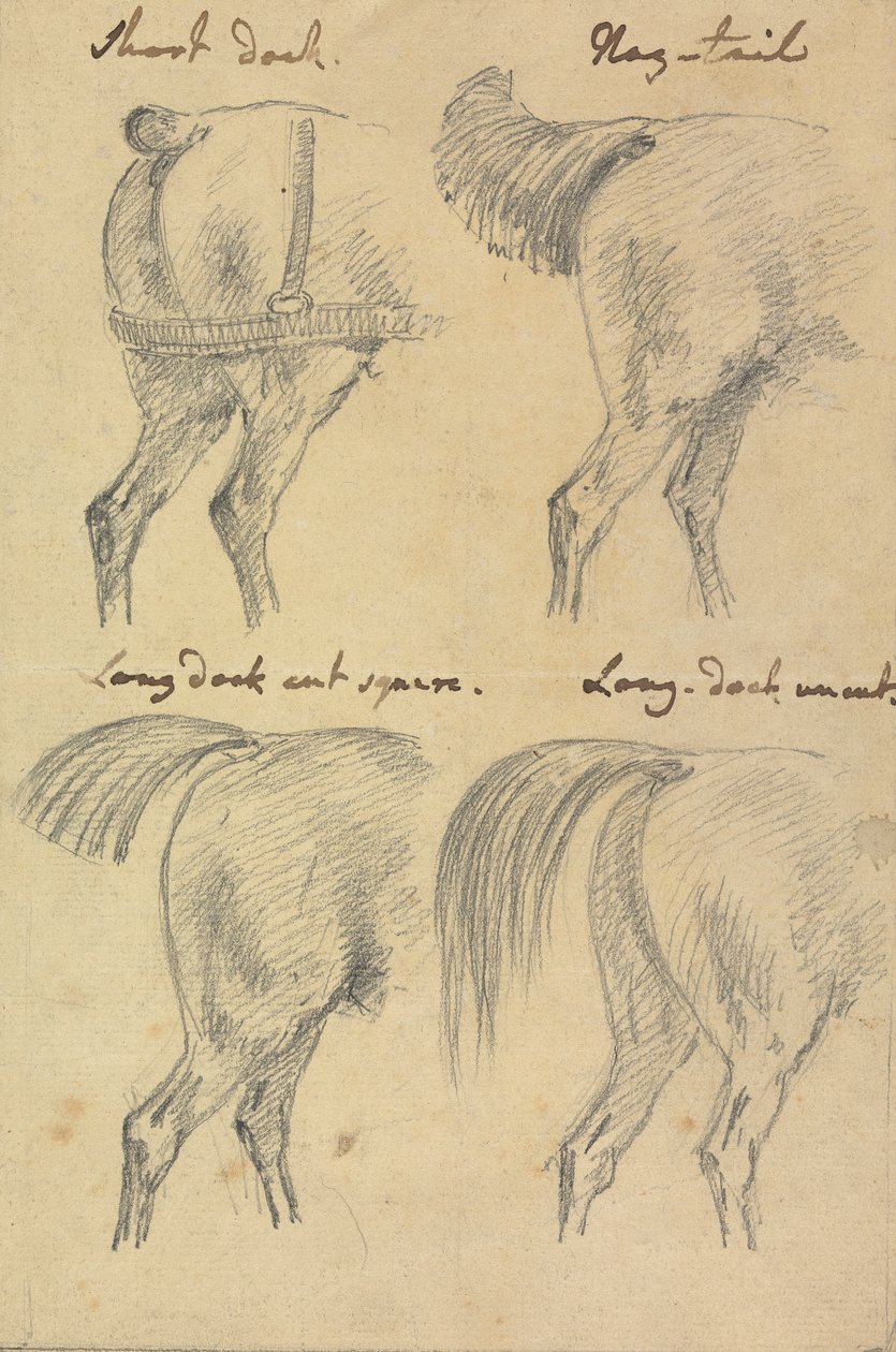Quattro schizzi di code di cavallo da Sawrey Gilpin