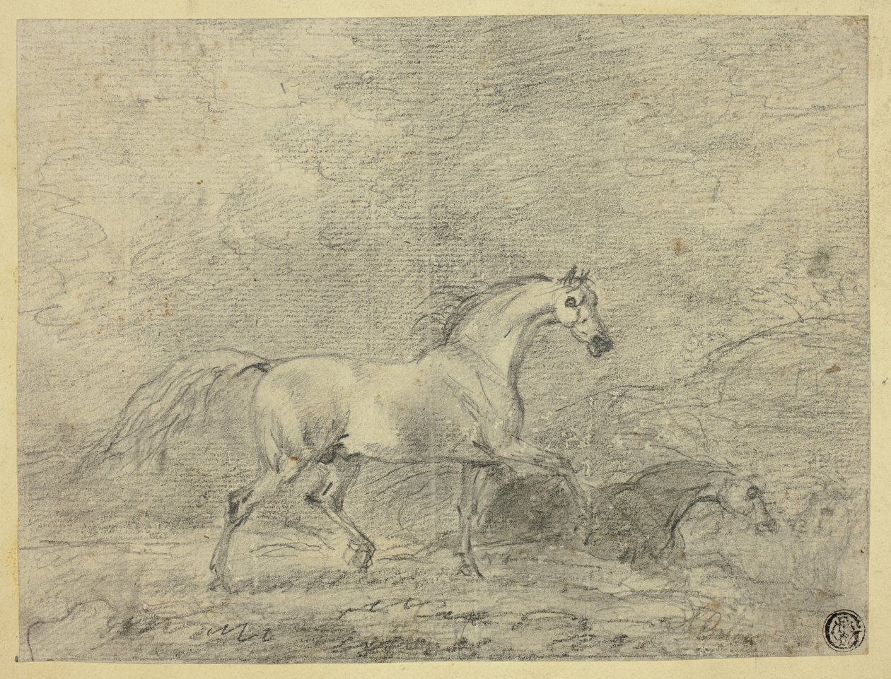 Cavalli da Sawrey Gilpin