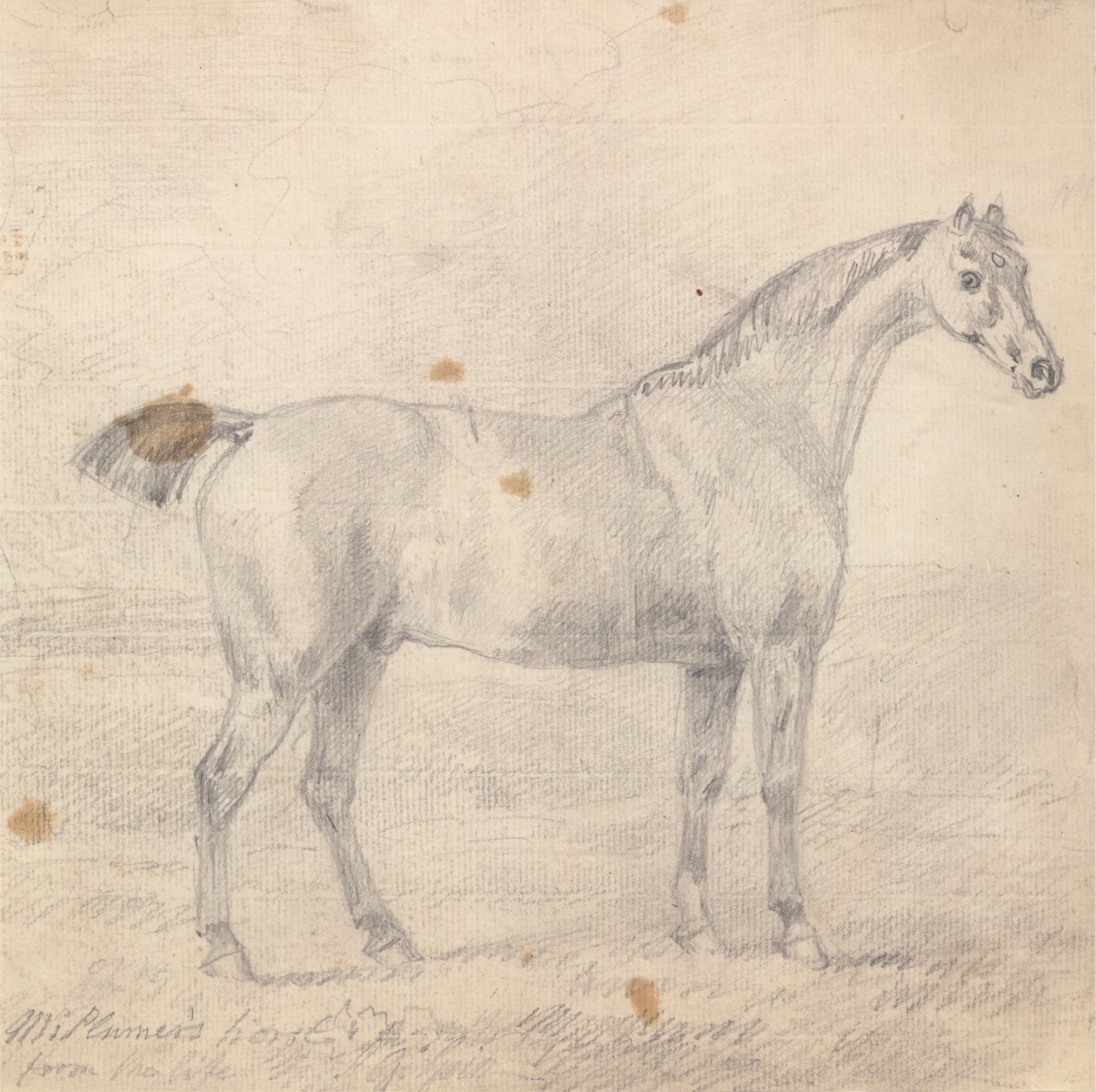 Il Cavallo del Signor Plumer da Sawrey Gilpin
