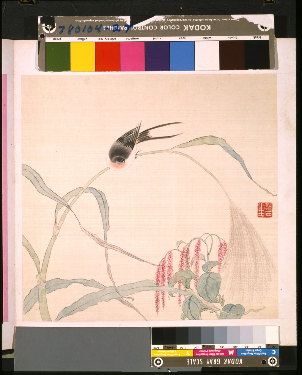 Album di fiori e uccelli da School Chinese