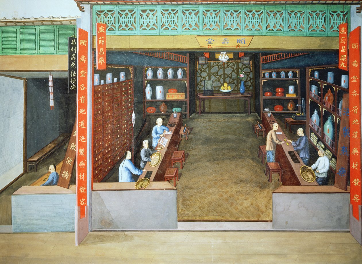 Medicina cinese, 1830 circa (gouache su carta) da School Chinese