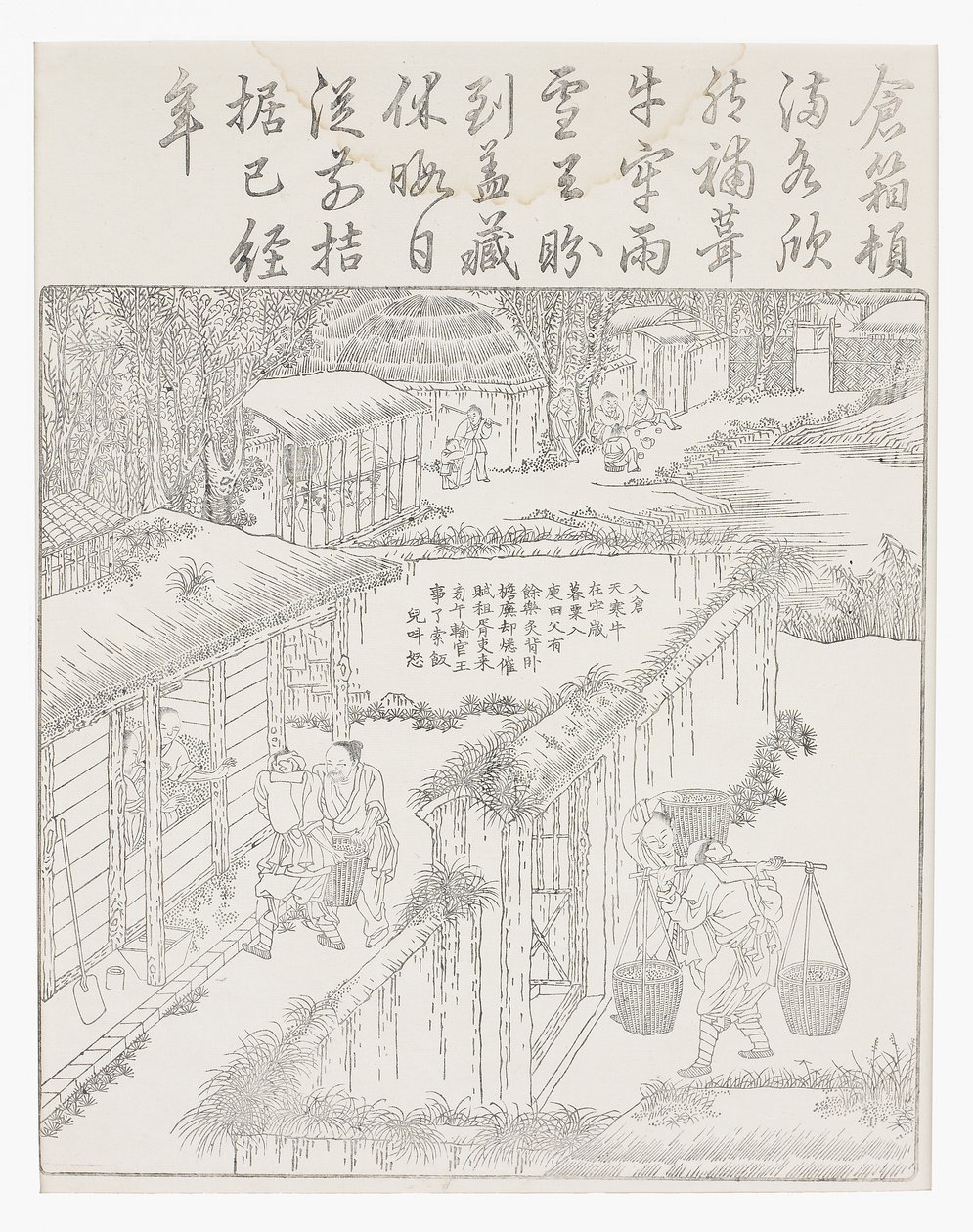 Conservare il riso da School Chinese