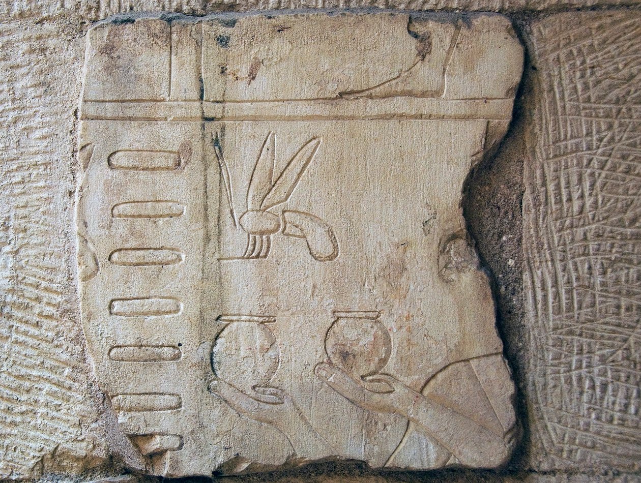 (dettaglio) da School Egyptian