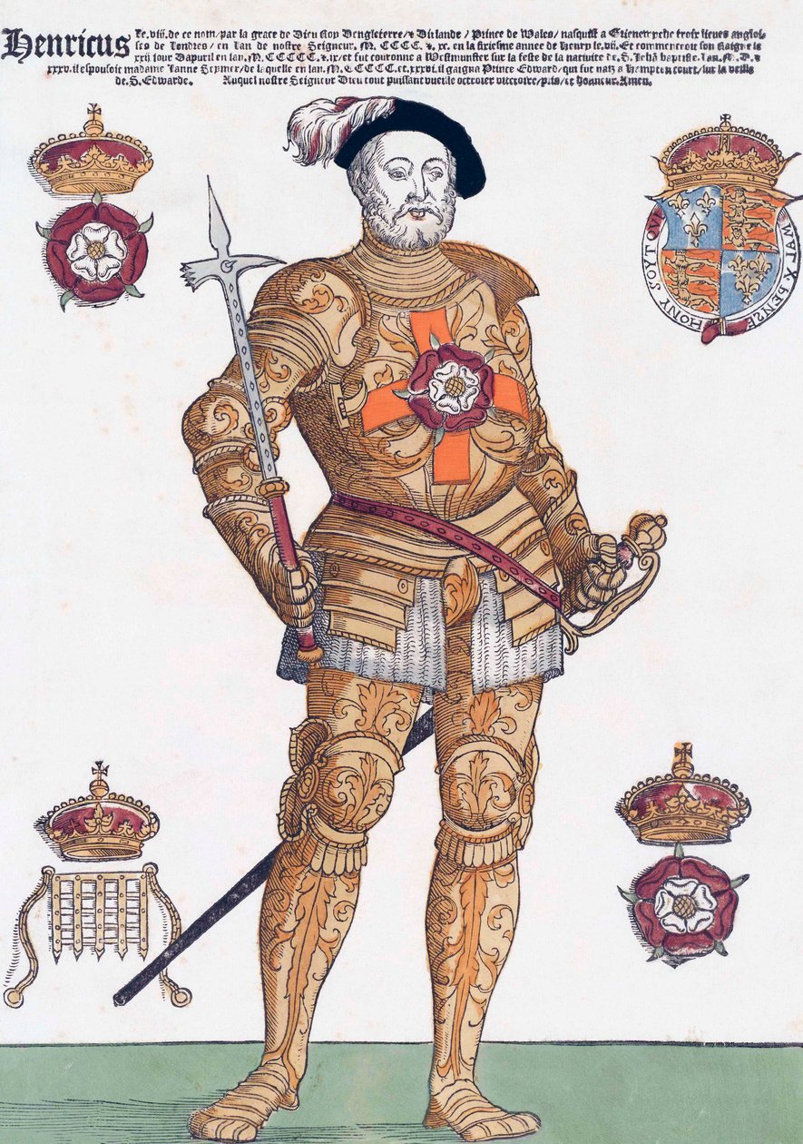 Re Enrico VIII d