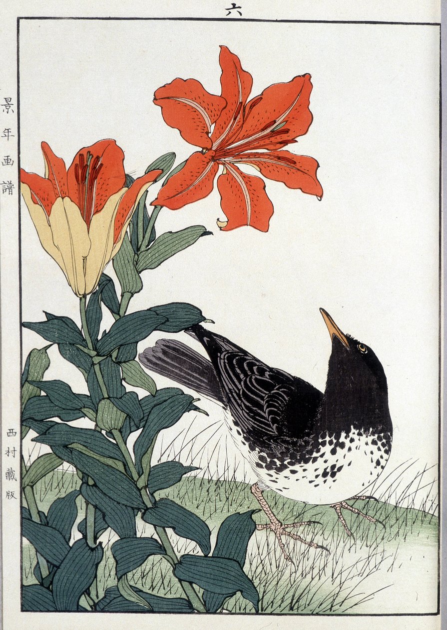 Merlo e fiori di giglio - stampa giapponese da Japanese School