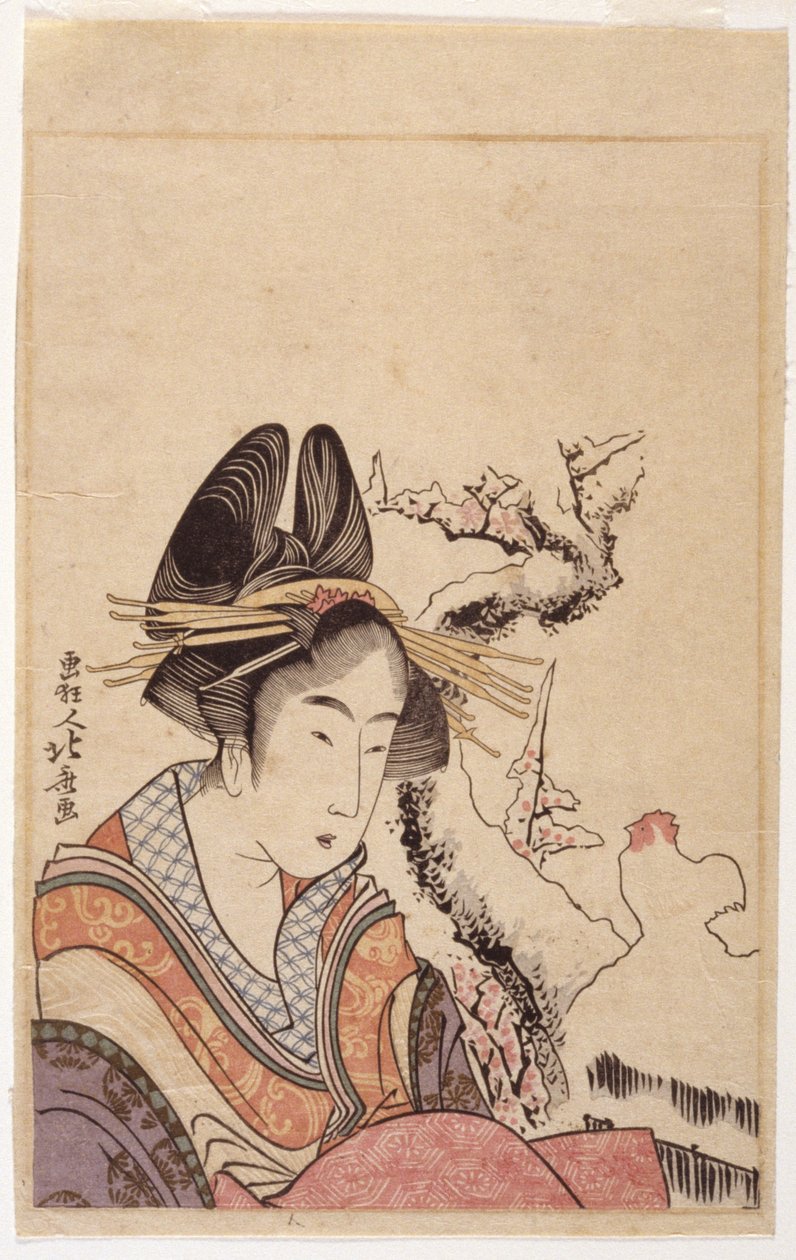 Testa di una signora da School Japanese